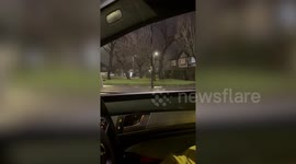 Dad and daughter spot a mysterious animal - on a London roundabout