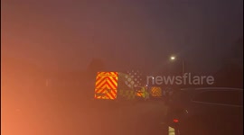 Pensioner dies after fire breaks out in greenhouse