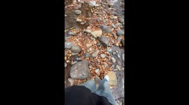Kashmir's breathtaking beauty in 6 seconds