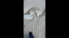 Snow Found Beneath Sand After Record-Setting Florida Snowfall