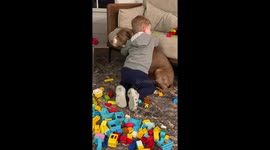 Sweet Grandson Comforts Scared New Rescue Dog