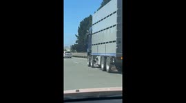 Dog Happily Riding Underneath Semi