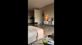 Fitness coach cat? Man tricks chubby pet into exercising