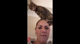 It Has Chosen Me For Its Perch