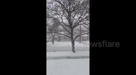 US: Winter Storm Sweeps Through Michigan, Bringing Inches Of Snow