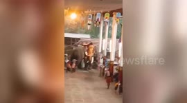 Two elephants wreak havoc at temple festival, triggering fatal stampede