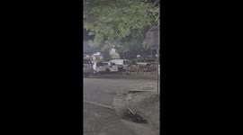 Herd of hippos casually stroll across main street in South Africa