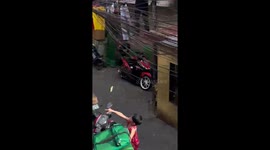 Pet cats have a 'meow match' from across the street