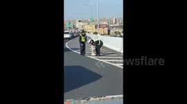 Police officers rescue stray puppy that wandered onto busy highway in China