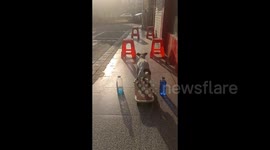 Clever canine masters art of riding skateboard, skilfully dodging obstacles