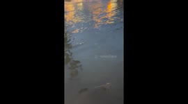 Southern California Hit by Heavy Rain: Roads Flooded, Wildfire Areas at Risk of Debris Flows