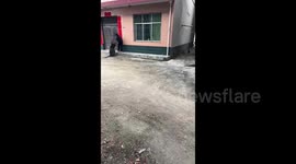 Wild boar attacks Chinese villagers in terrifying encounter