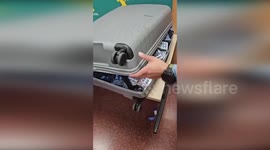 Spain: Passenger Claims 20,000 Erectile Dysfunction Pills Are for Personal Use at Barcelona Airport