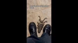 Beetle-shaped boot jack becomes thrift store treasure