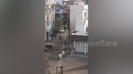 Residents flee as leopard charges through village in India