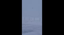 Helicopter pilot overcomes engine failure to make smooth landing