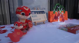Belgium: Snake-themed artworks exhibition in Brussels showcases Chinese zodiac culture