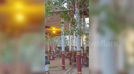 India: Two elephants wreak havoc at temple festival, triggering fatal stampede