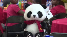 Nigerian students celebrate Chinese Spring Festival with dumpling-making, cultural exchange