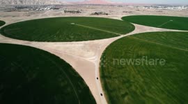 UAE: Smart agricultural technology turns deserts into farmlands in UAE