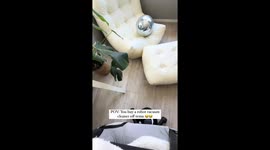 Temu robot vacuum goes rogue, spins out of control