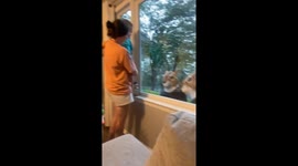 Squirrel surprise gone wrong: Grandparents’ costume prank hilariously backfires