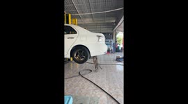 Me-ow-t! Cat inspects car hoisted up for repairs at mechanic shop