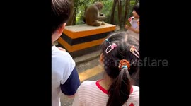Terrifying moment young girl BITTEN by wild monkey whilst posing for photo in China
