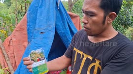 Police find mother and daughter 'dead from swallowing insecticide' in forest tent