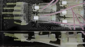 Terminator-like hand that uses lab-grown muscle tissue developed