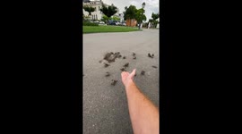 Lake Geneva visitor captures sparrows landing on his hand, part of their team.