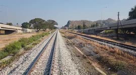 Eagle-eyed train driver stops to save turtle stuck on tracks