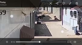 Stray bull attacks resident flinging him 10ft in the air
