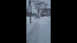 Snow blankets roads in Ontario amid power outage fears