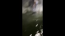Group Work Together To Rescue Dog Drowning In Water Canal