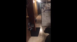 Polite Rottweiler Closes the Door for Us