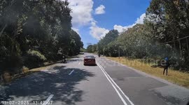 Angry wild elephant attacking car is caught on dashcam in Malaysia