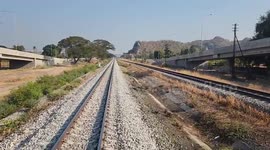 Eagle-eyed train driver stops to save turtle stuck on tracks