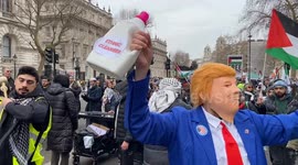 Thousands march in support of Palestine