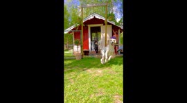 Happy Doodles Pour Out of Little House