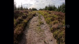 Ancient burial ceremony stone row Bellever Forest Dartmoor Devon