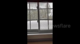 Canada: Heavy Snowfall Causes Travel Disruptions In Southern Ontario