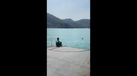 Drowning dog rescued by sea ferry crew off Thai island