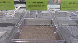 China: North China county paws its way to forefront with cat litter production