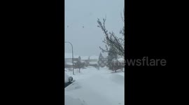 Canada: Massive winter storm hits Kitchener, ON