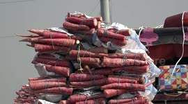 Carrots help grow economy in Afghanistan