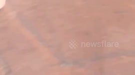Marketgoers injured when food stall explodes in China
