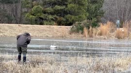 Woman Saves Goose Frozen in Icy Pond