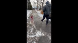 How Long Can Toby Walk On Two Legs