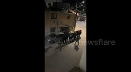Palestine: Israeli forces detain Palestinian youths during their raid on the town of Bayt Rima, north of Ramallah
